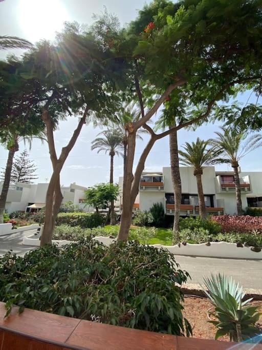 Apartamento Deniz Sur - Ten Bel アロナ エクステリア 写真